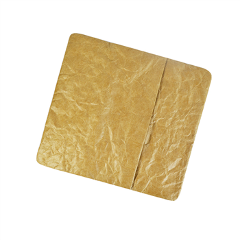 Tyvek Document Pouch/Organizer