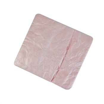 Tyvek Document Pouch/Organizer